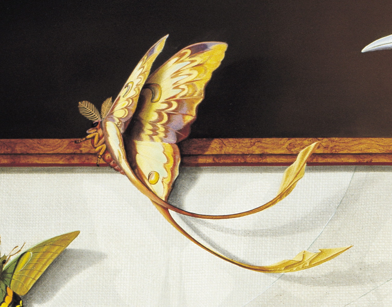 CANAT - Métamorphose (Détail 1)