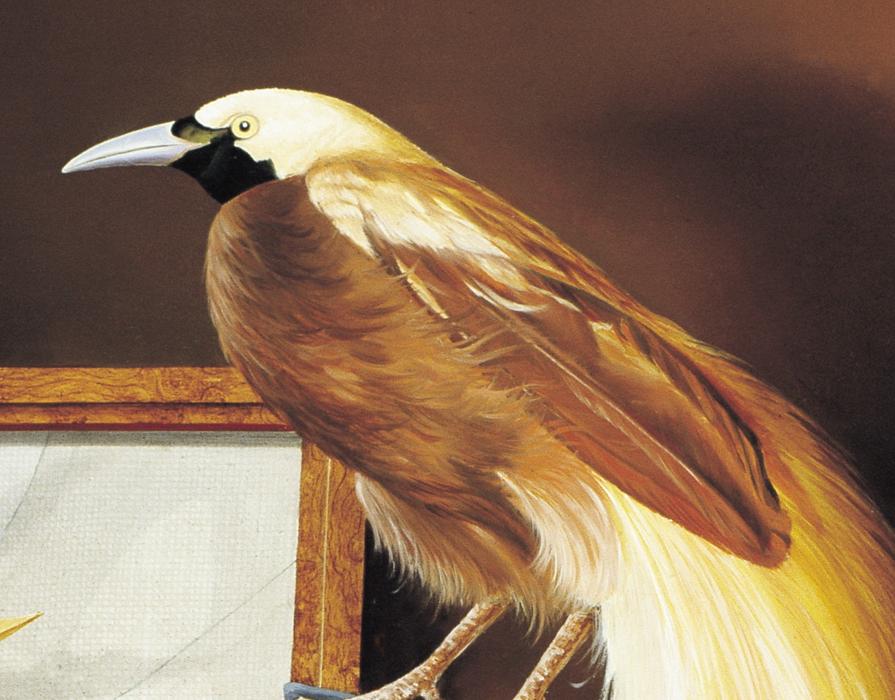 CANAT - Métamorphose (Détail 2)