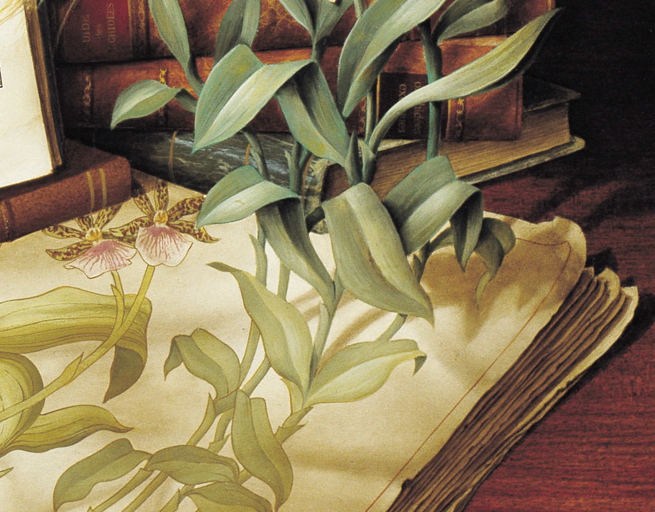 CANAT - Métamorphose (Détail 4)