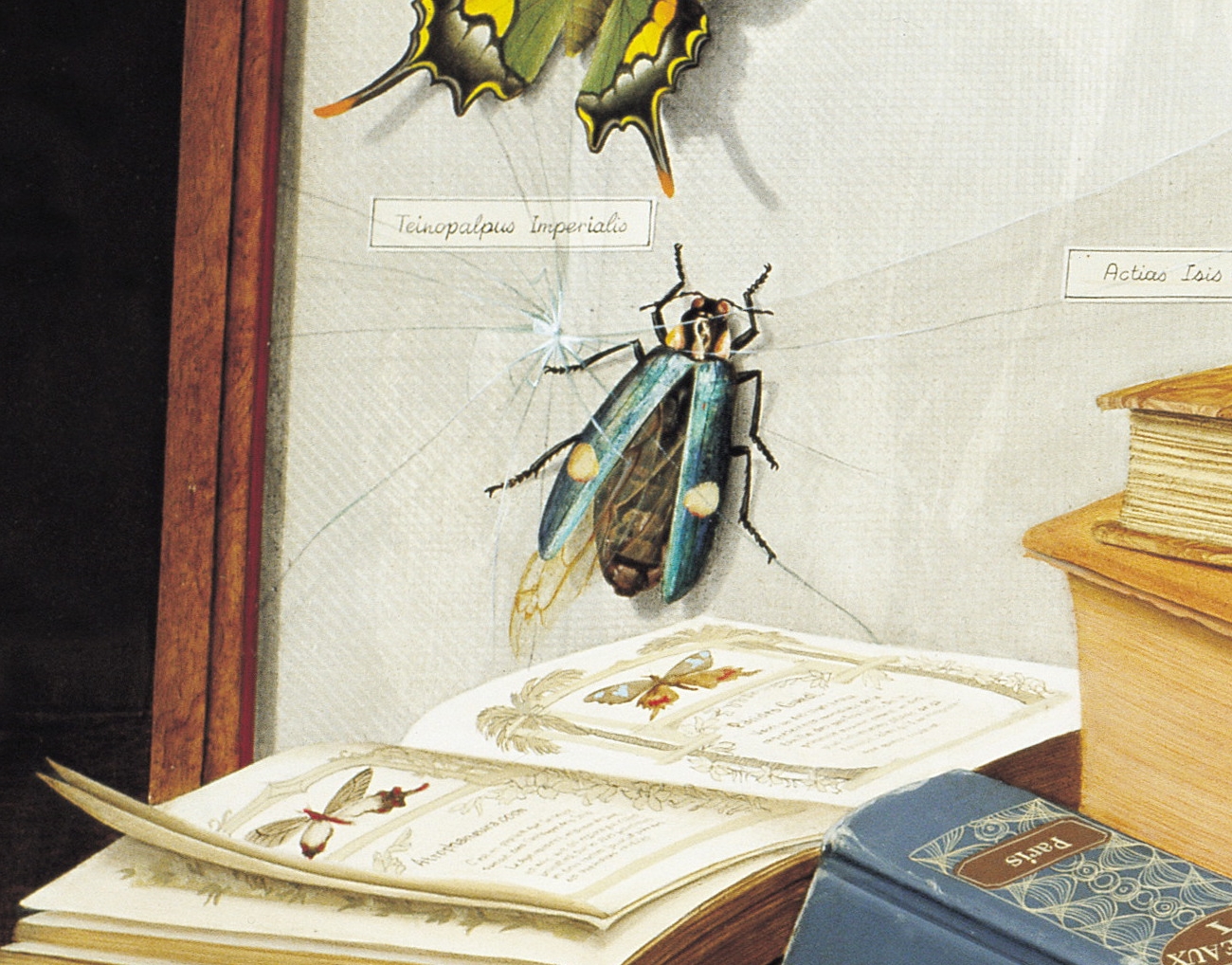 CANAT - Métamorphose (Détail 7)