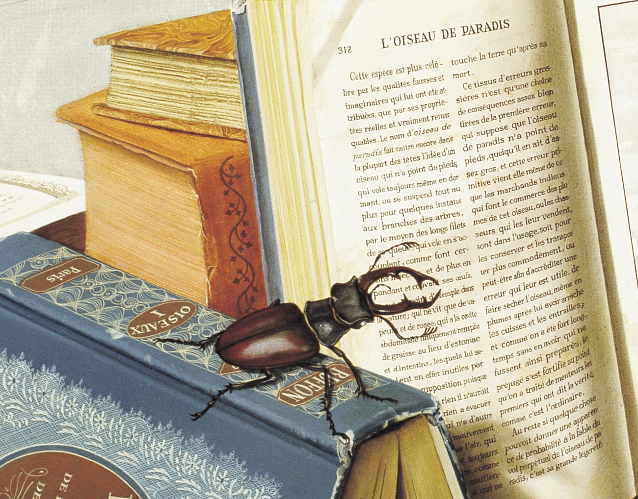 CANAT - Métamorphose (Détail 8)