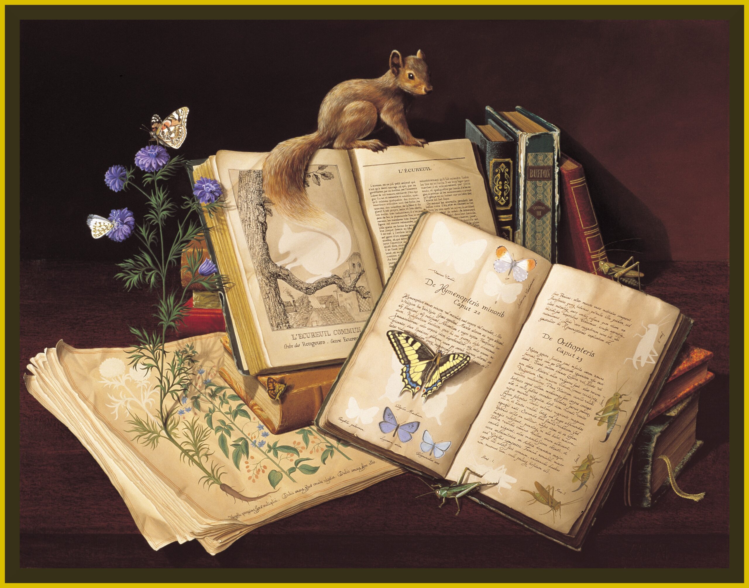 CANAT - Mutation (60 X 65 cm)