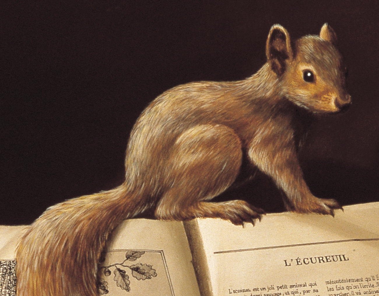 CANAT - Mutation (Détail 1)