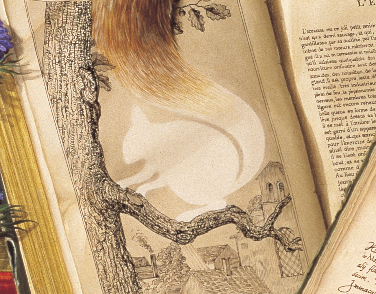 CANAT - Mutation (Détail 2)