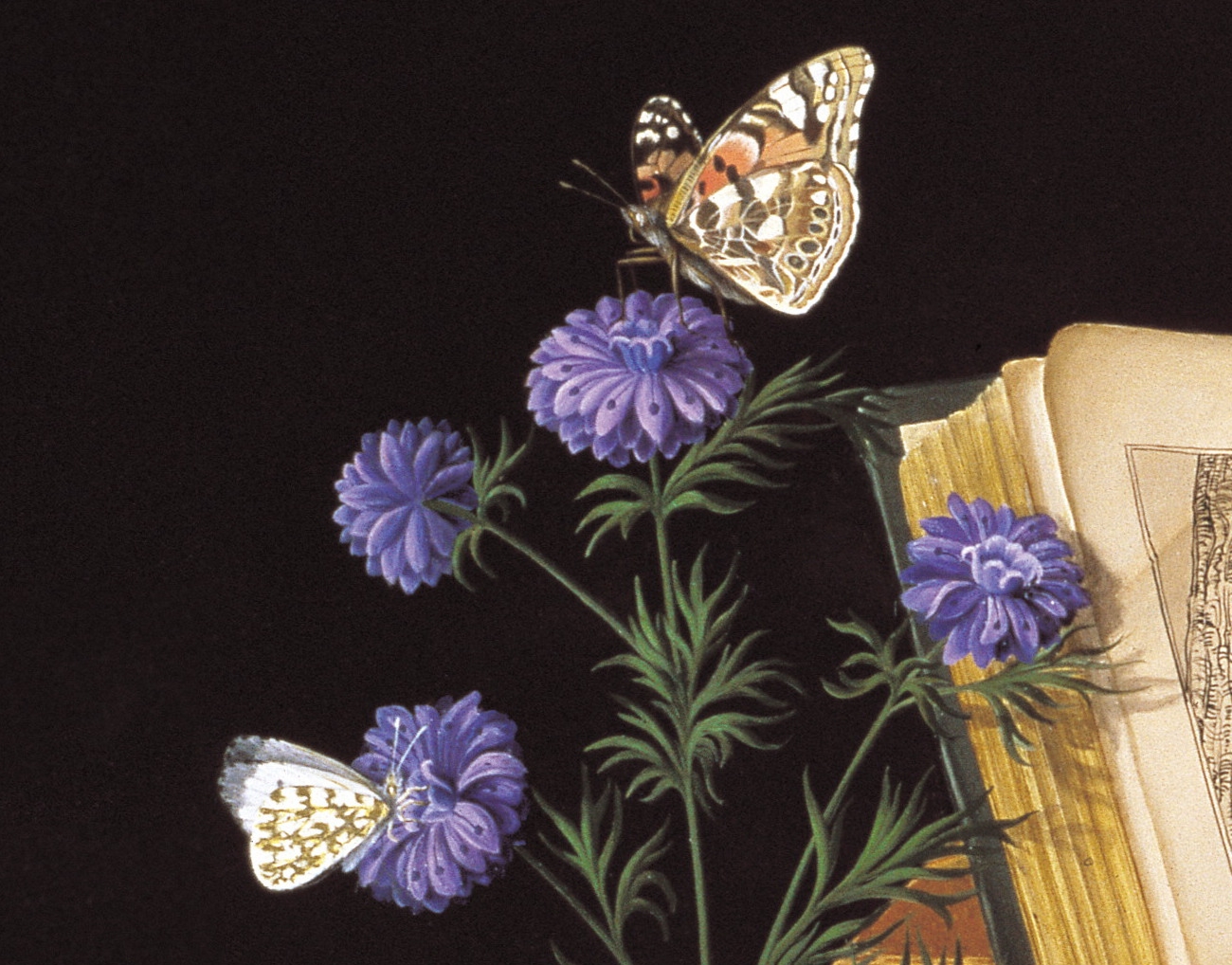 CANAT - Mutation (Détail 3)