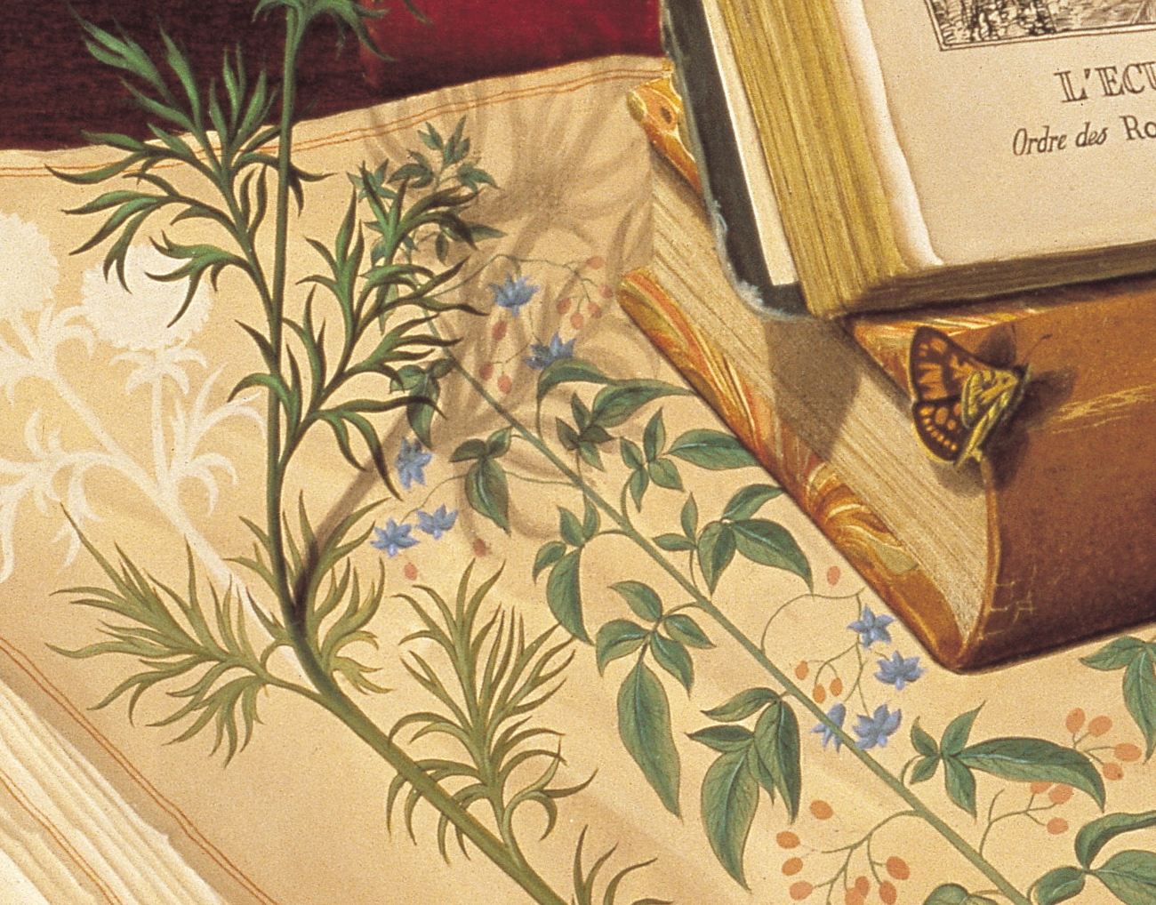 CANAT - Mutation (Détail 6)