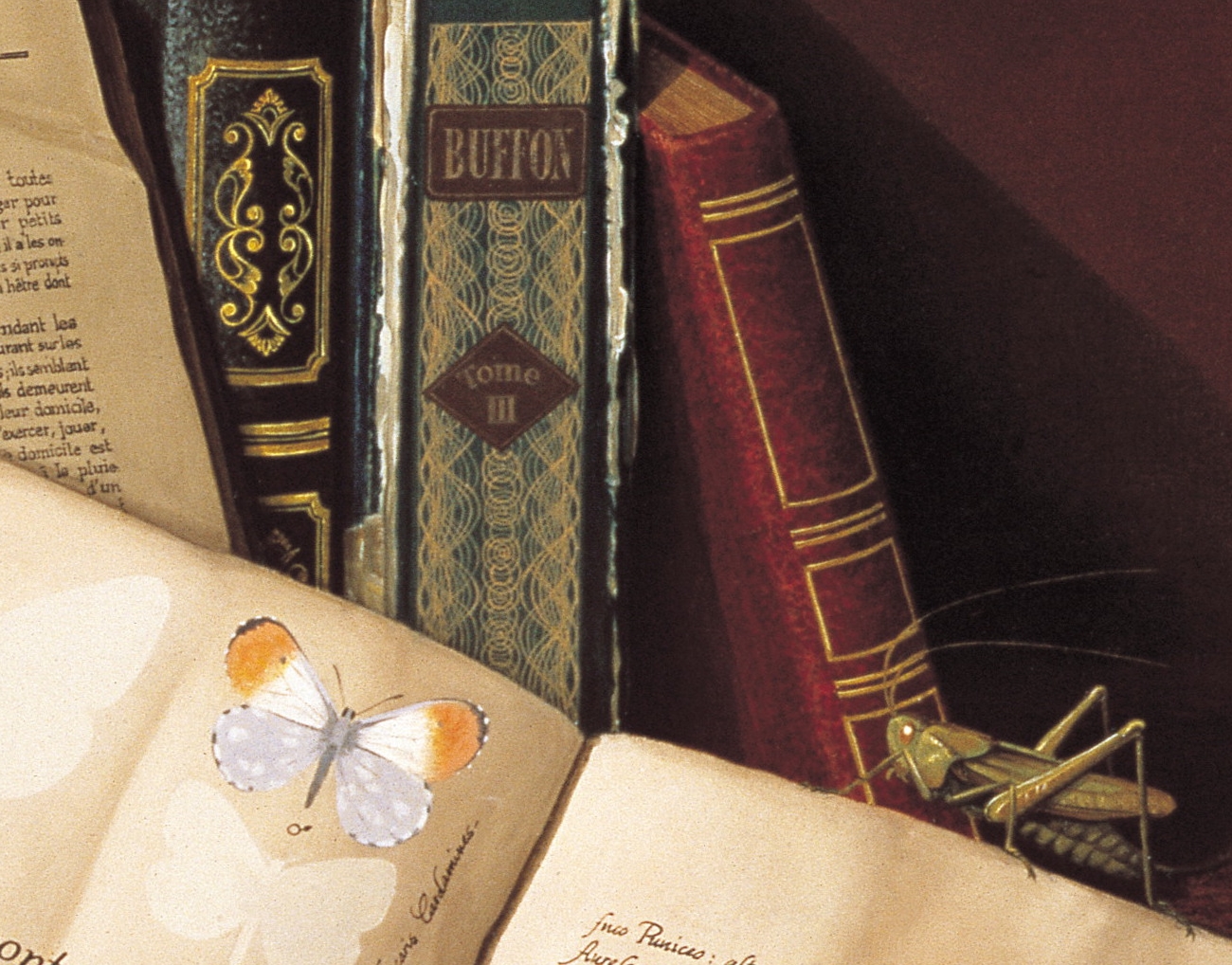 CANAT - Mutation (Détail 7)