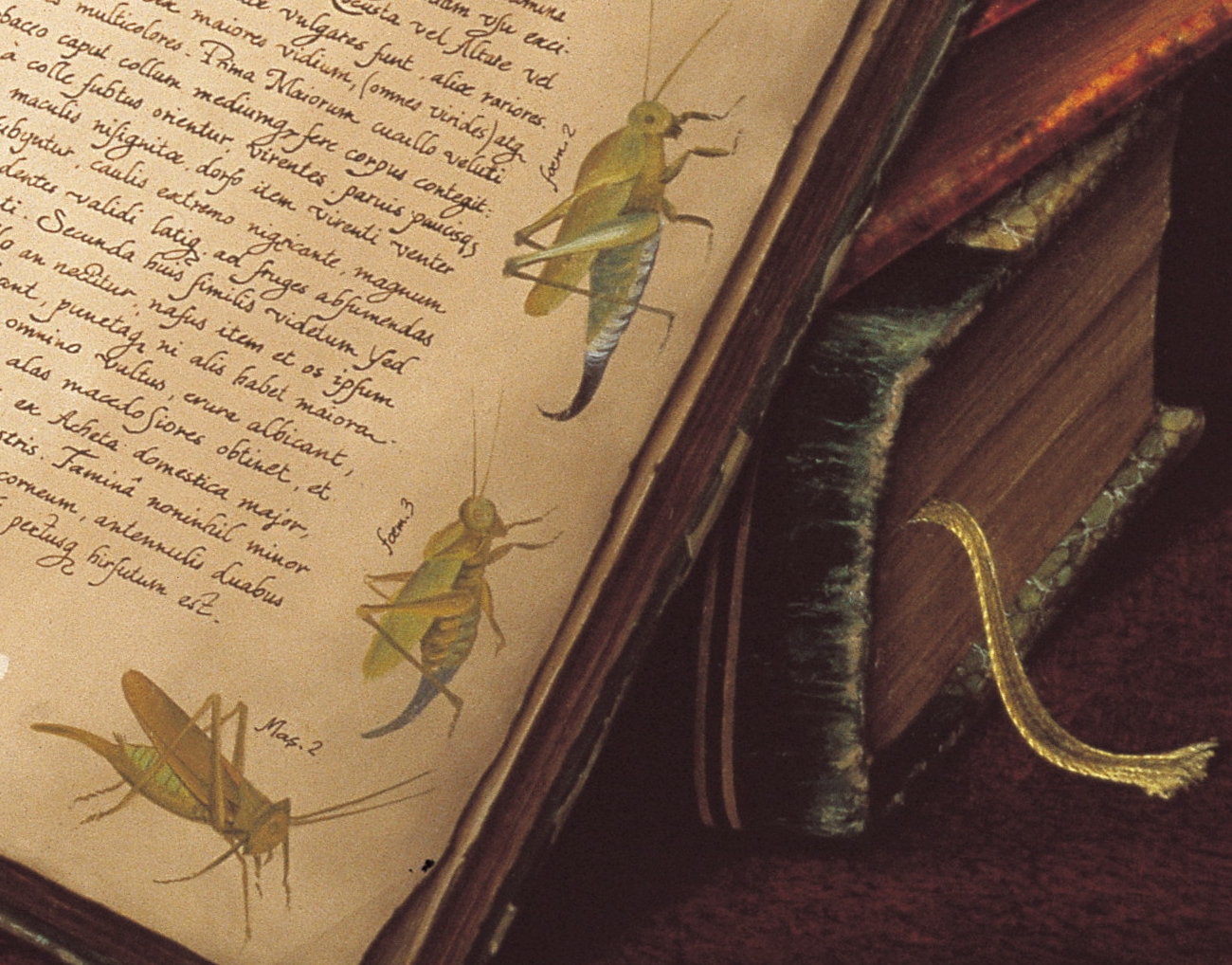 CANAT - Mutation (Détail 8)